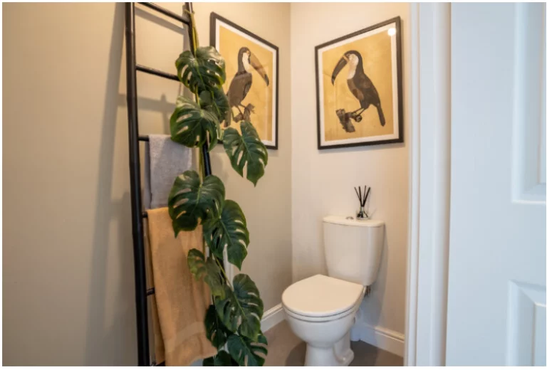 Image carousel 2726617 1690701348