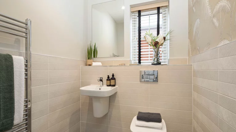 Image carousel 2763885 1698243259