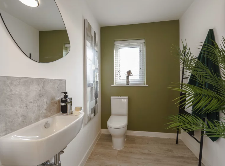 Image carousel 2871881 1762516359