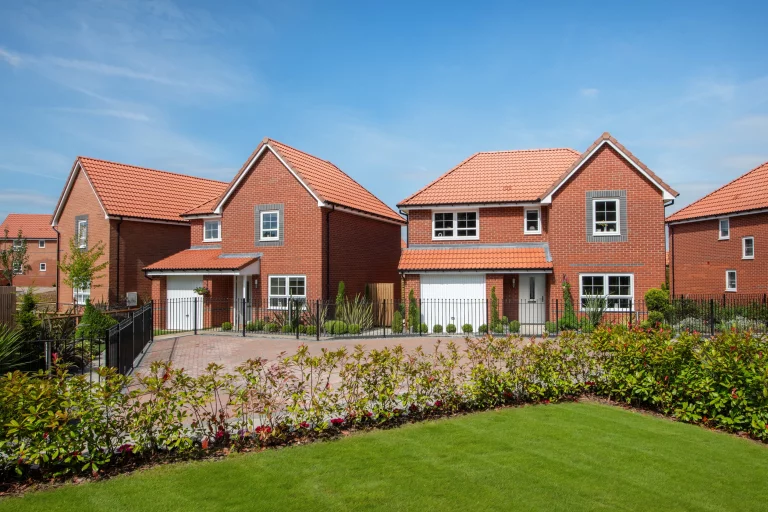 Image carousel 3020876 1722564135