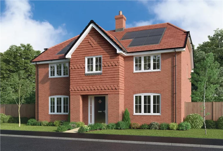 Image carousel 3134806 1762394904