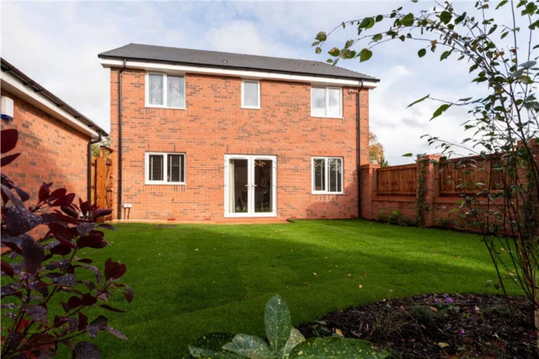 Image carousel 3176291 1762049777