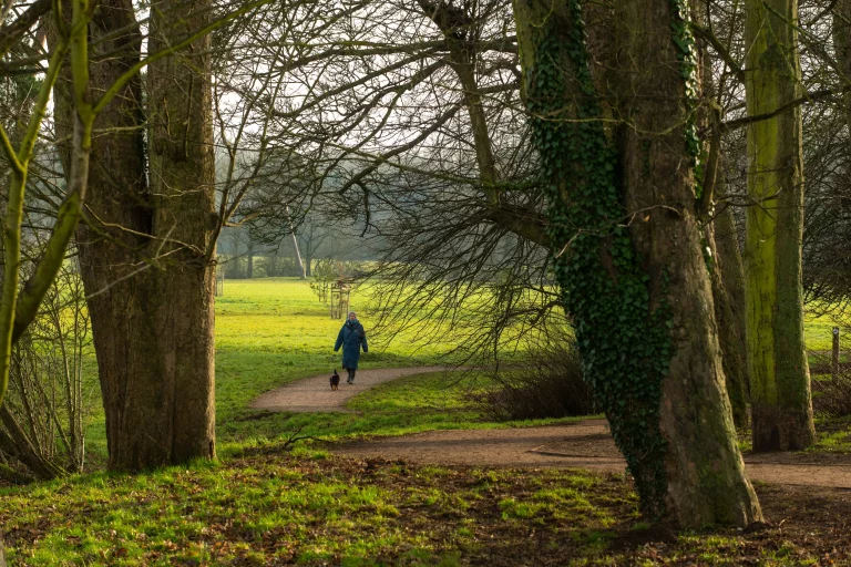 Image carousel 3196191 1739934090