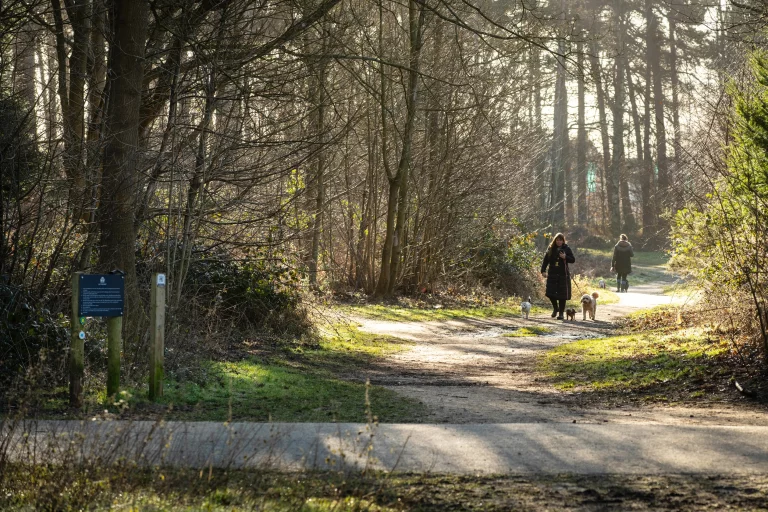 Image carousel 3274526 1748570463