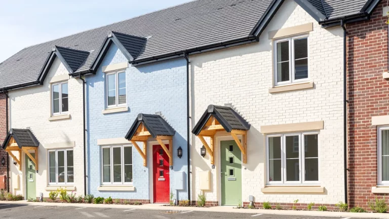 Image carousel 3314241 1751022619