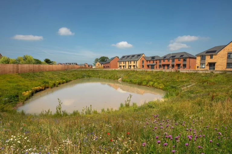 Image carousel 3345241 1754532049