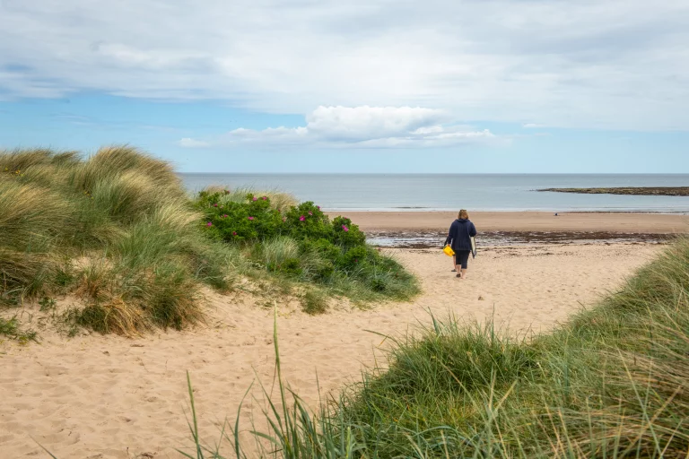 Image carousel 3455496 1755914478