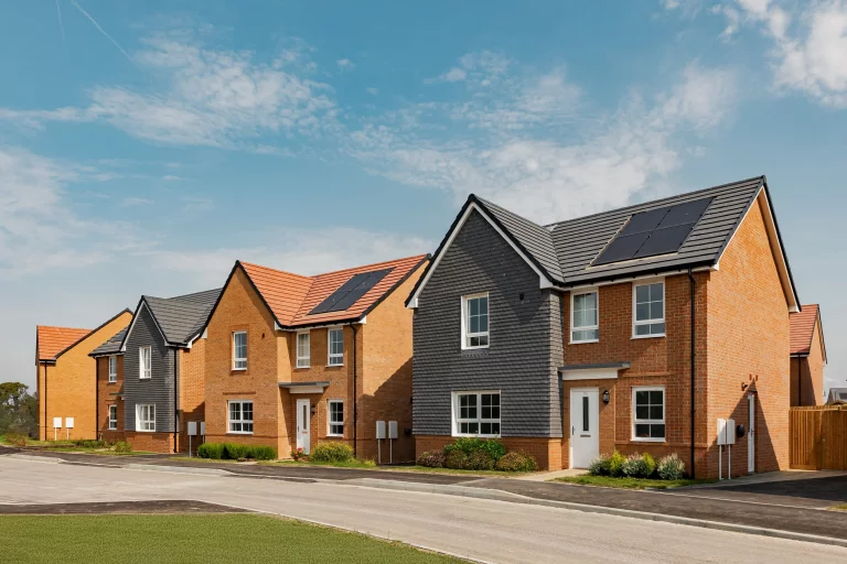 Image carousel 3482091 1759888860