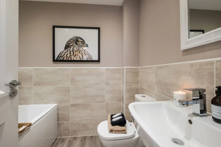 Image carousel 3487596 1760580093