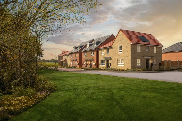 Image carousel 3489121 1760666442