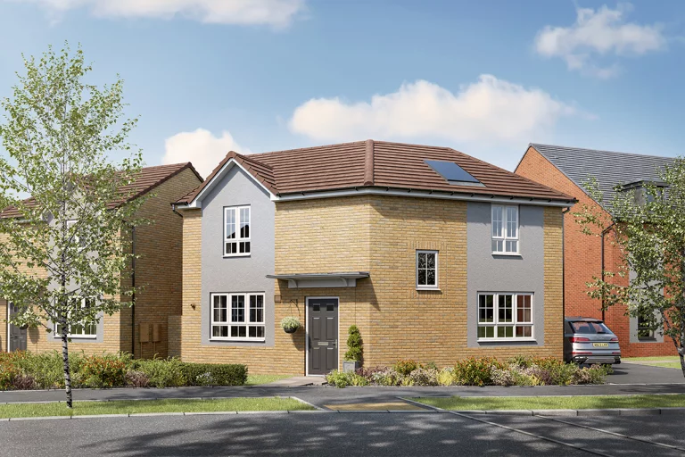 Image carousel 3493431 1761274904