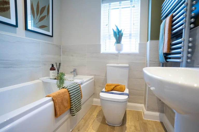 Image carousel 3493441 1761274905