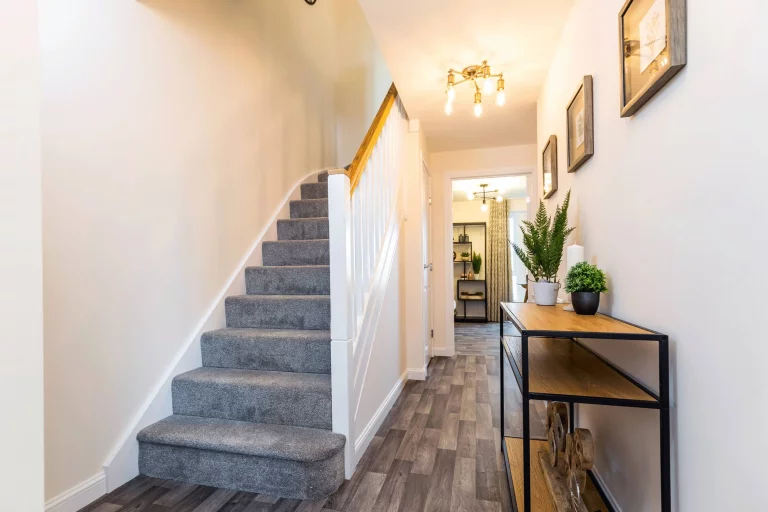 Image carousel 3493566 1761274991