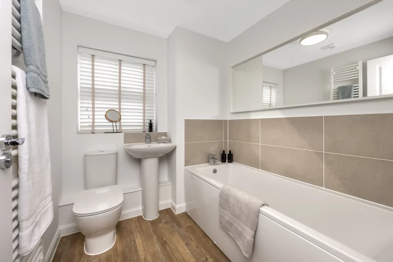 Image carousel 3493641 1761275055