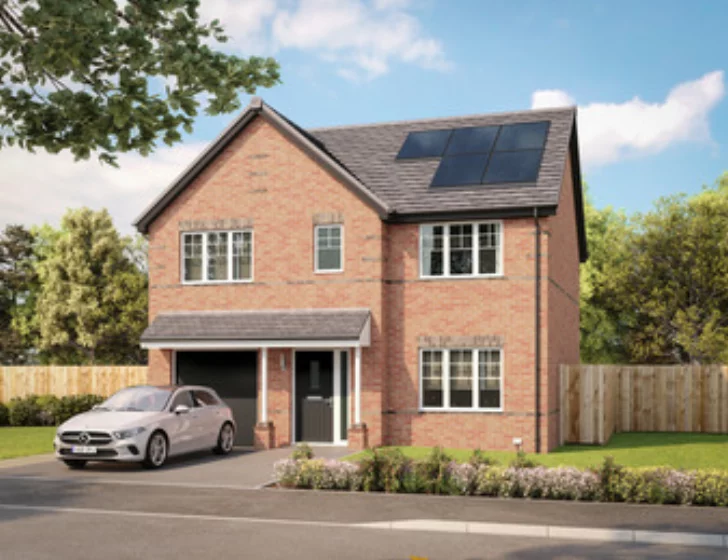 Image carousel 3493806 1761292112