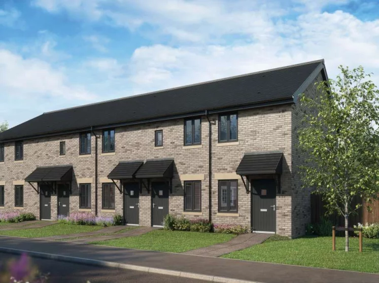 Image carousel 3493856 1761357770