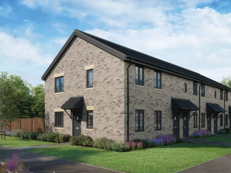 Image carousel 3494031 1761357775