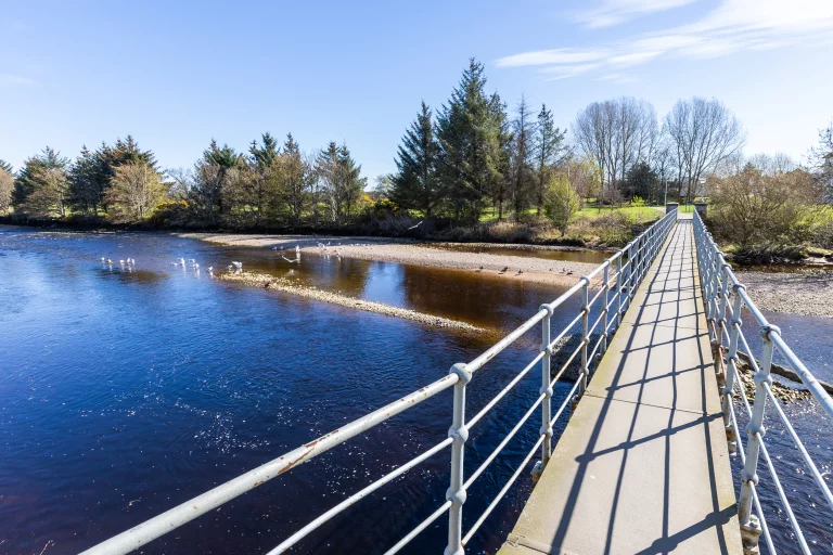 Image carousel 3494576 1761361337