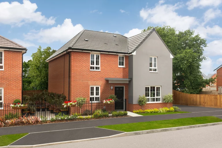 Image carousel 3494611 1761361375