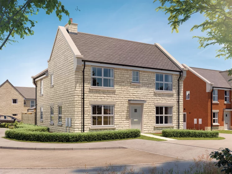 Image carousel 3494681 1761361533