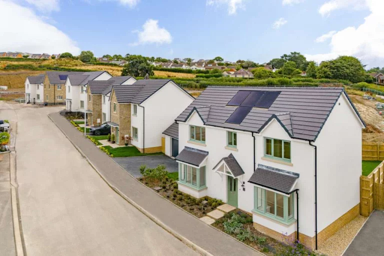 Image carousel 3495431 1761616891