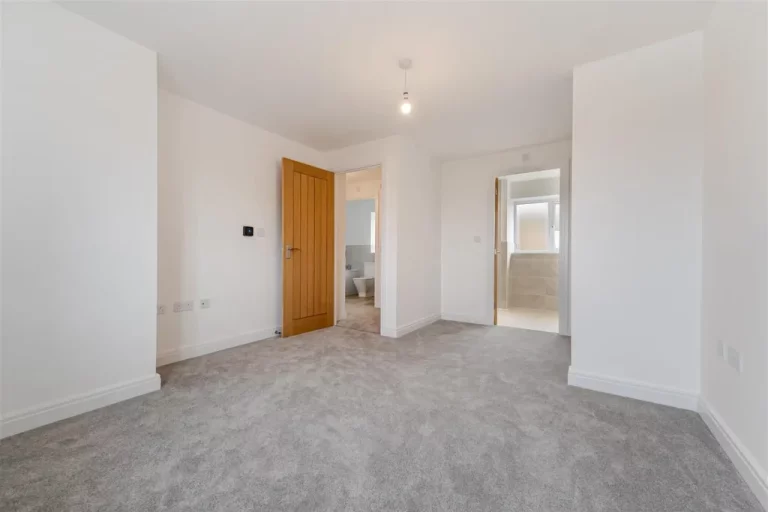 Image carousel 3495851 1761616901