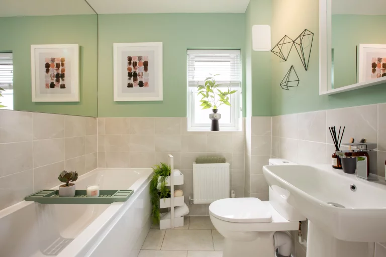 Image carousel 3495946 1761620514