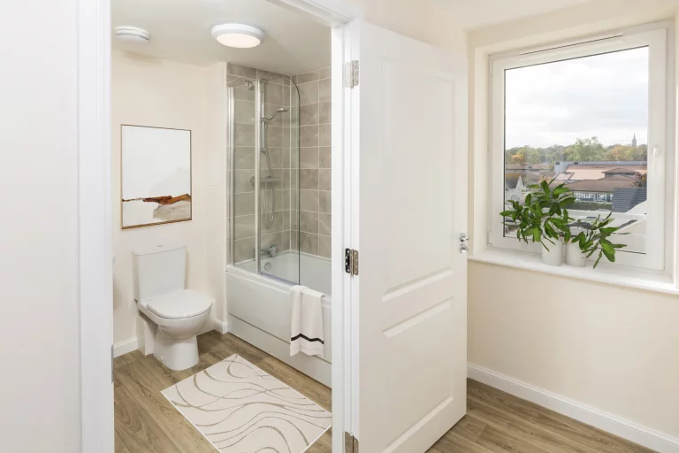 Image carousel 3496006 1761620587