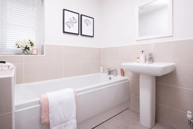 Image carousel 3496506 1761707014