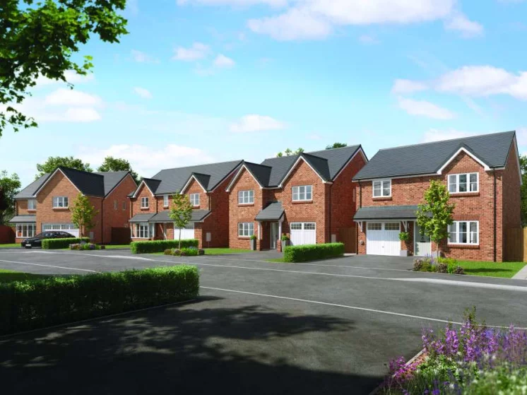 Image carousel 3497246 1762048847