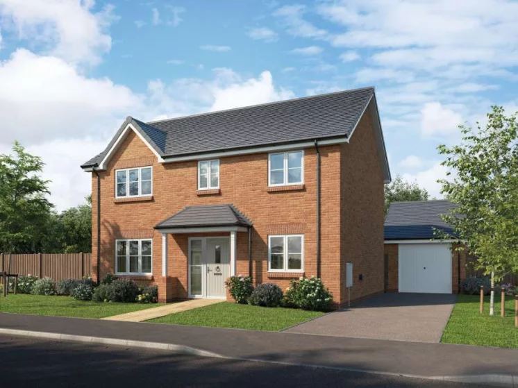 Image carousel 3497266 1762048848