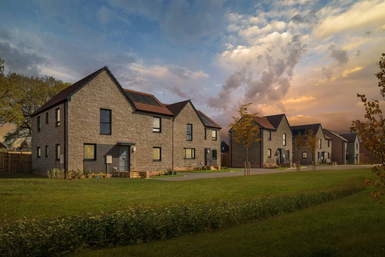 Image carousel 3497681 1762052465