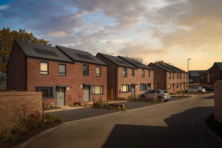 Image carousel 3497686 1762052466