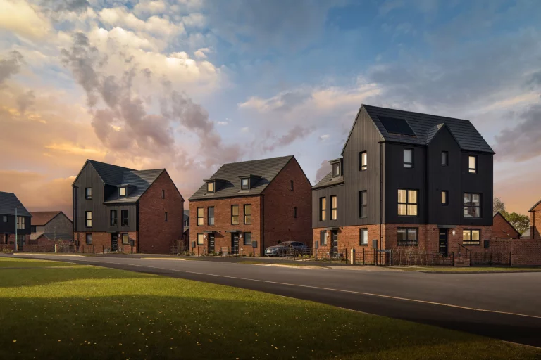 Image carousel 3497691 1762052466