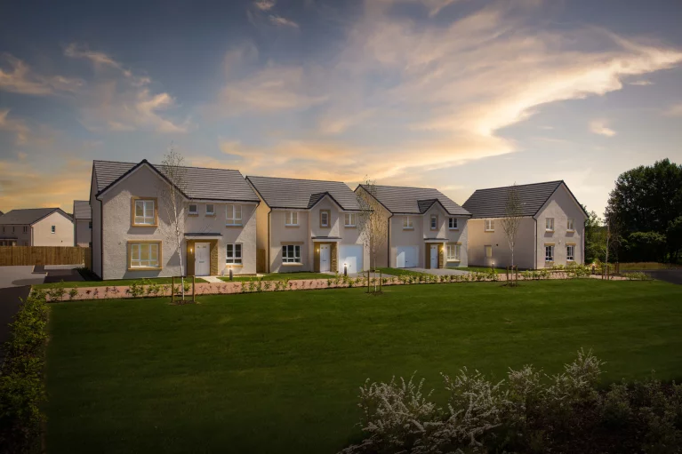 Image carousel 3497751 1762052494