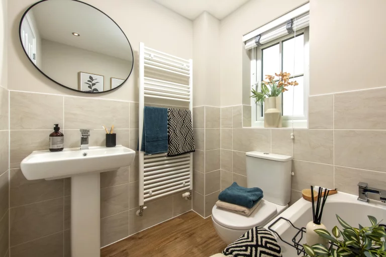 Image carousel 3497906 1762052572