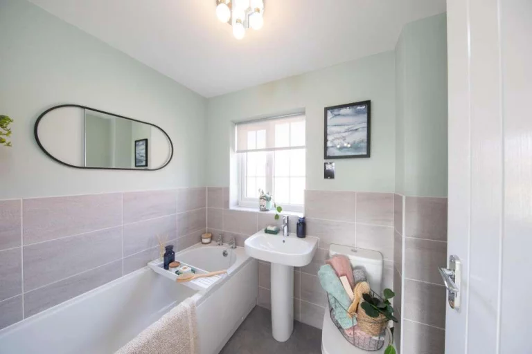 Image carousel 3498566 1762221672