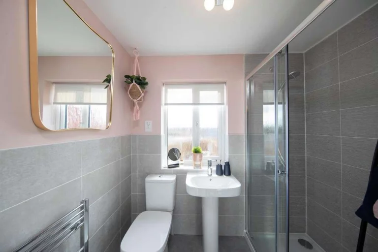 Image carousel 3498581 1762221673