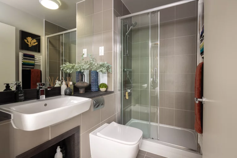 Image carousel 3498736 1762225468