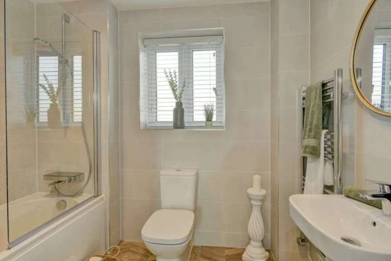 Image carousel 3499581 1762394464