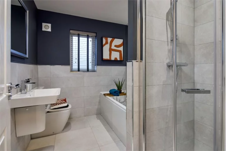 Image carousel 3499686 1762394914