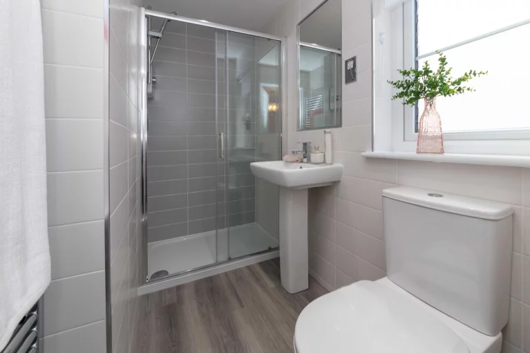 Image carousel 3499806 1762398229