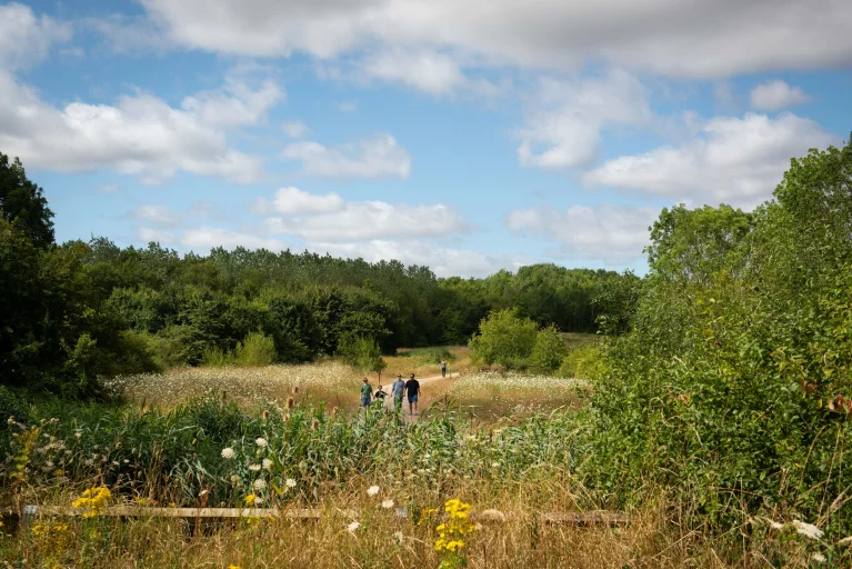 Image carousel 3501531 1762570854