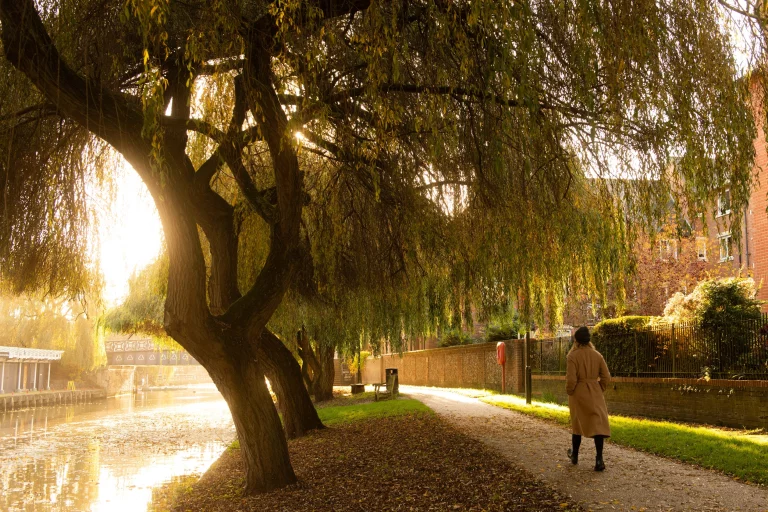 Image carousel 3501651 1762570885