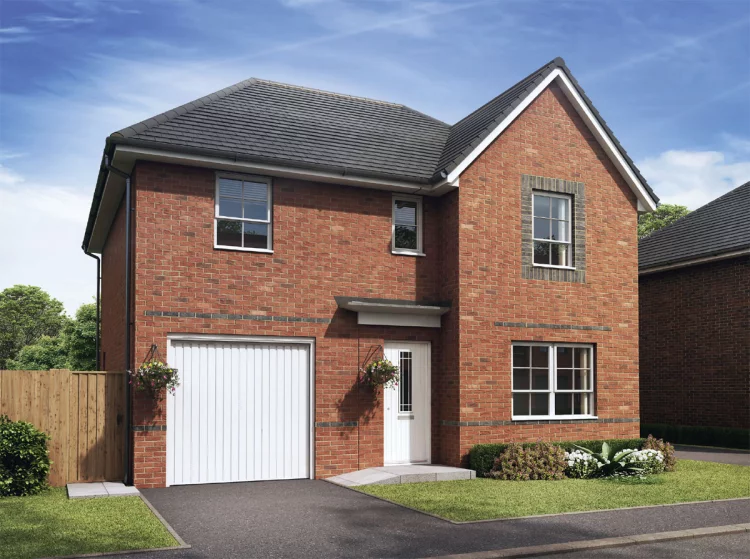 Image carousel 3501736 1762570912