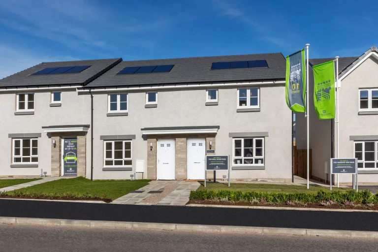 Image carousel 3501816 1762571002