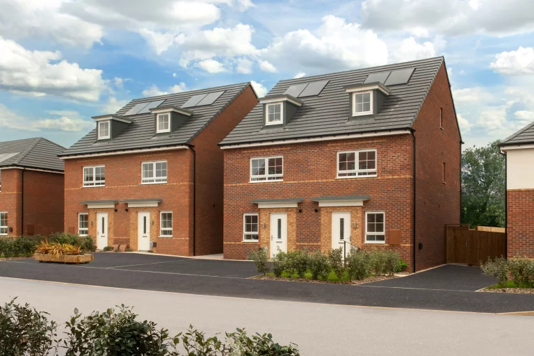 Image carousel 3503181 1763002845