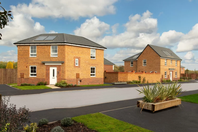 Image carousel 3503186 1763002846