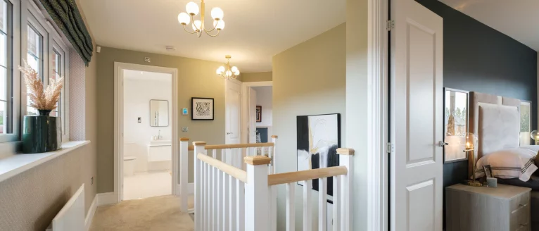 Image carousel 3503236 1763002871