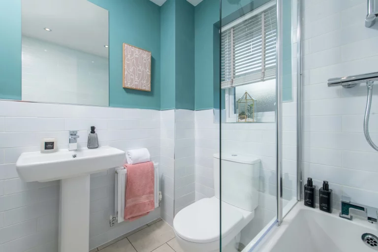 Image carousel 3503461 1763003028